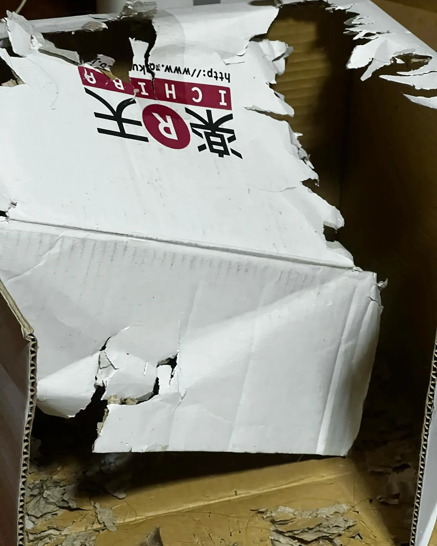 ダンボール📦さん